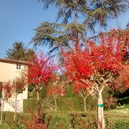 Casa Orsolini