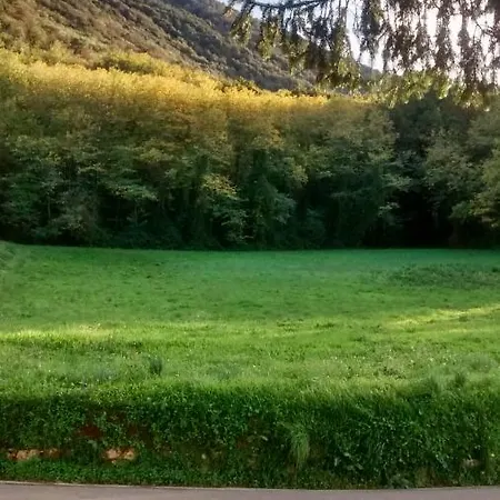 Orsolini