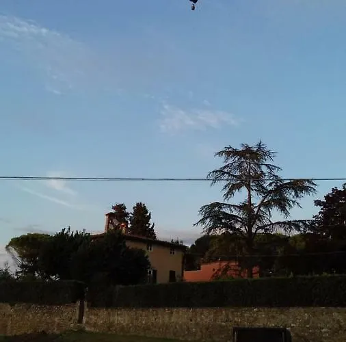 Orsolini * ルッカ